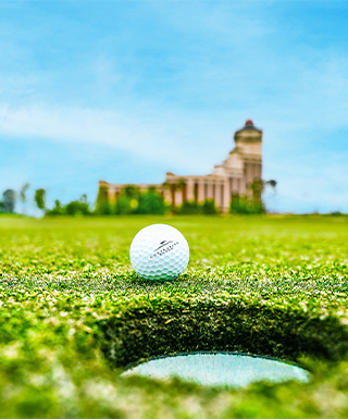 Golf Ball in front of property